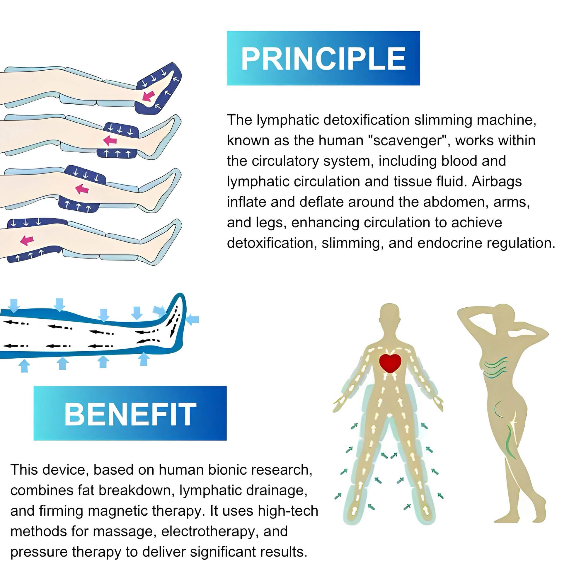 3 in 1 Pressotherapy Lymphatic Drainage Machine - Image 4